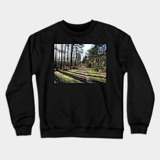 Trees in Swinley forest make it great place for sunlight walk Crewneck Sweatshirt